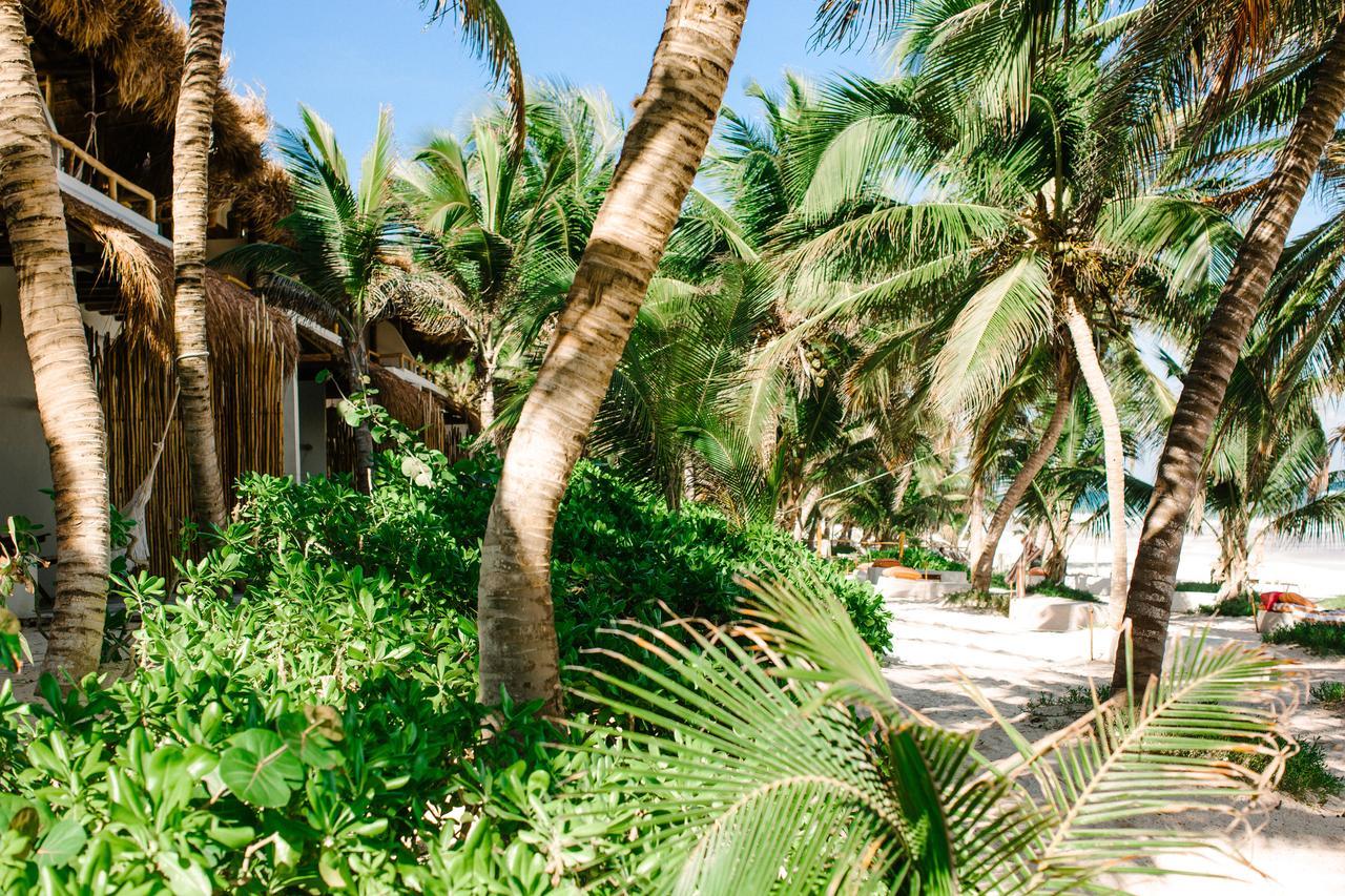 The Beach Tulum Hotel Esterno foto